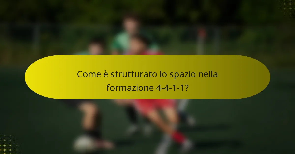 Come è strutturato lo spazio nella formazione 4-4-1-1?